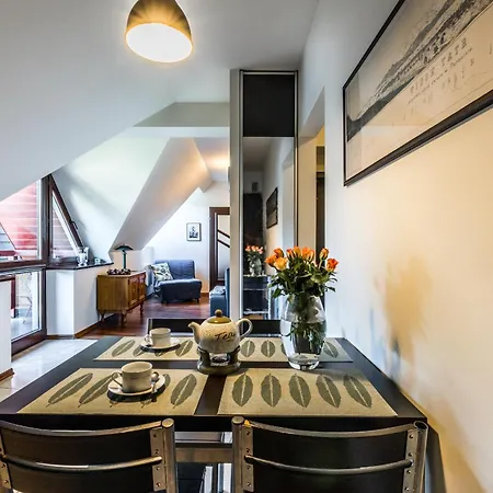 公寓 Morskie Oko & 扎科帕内